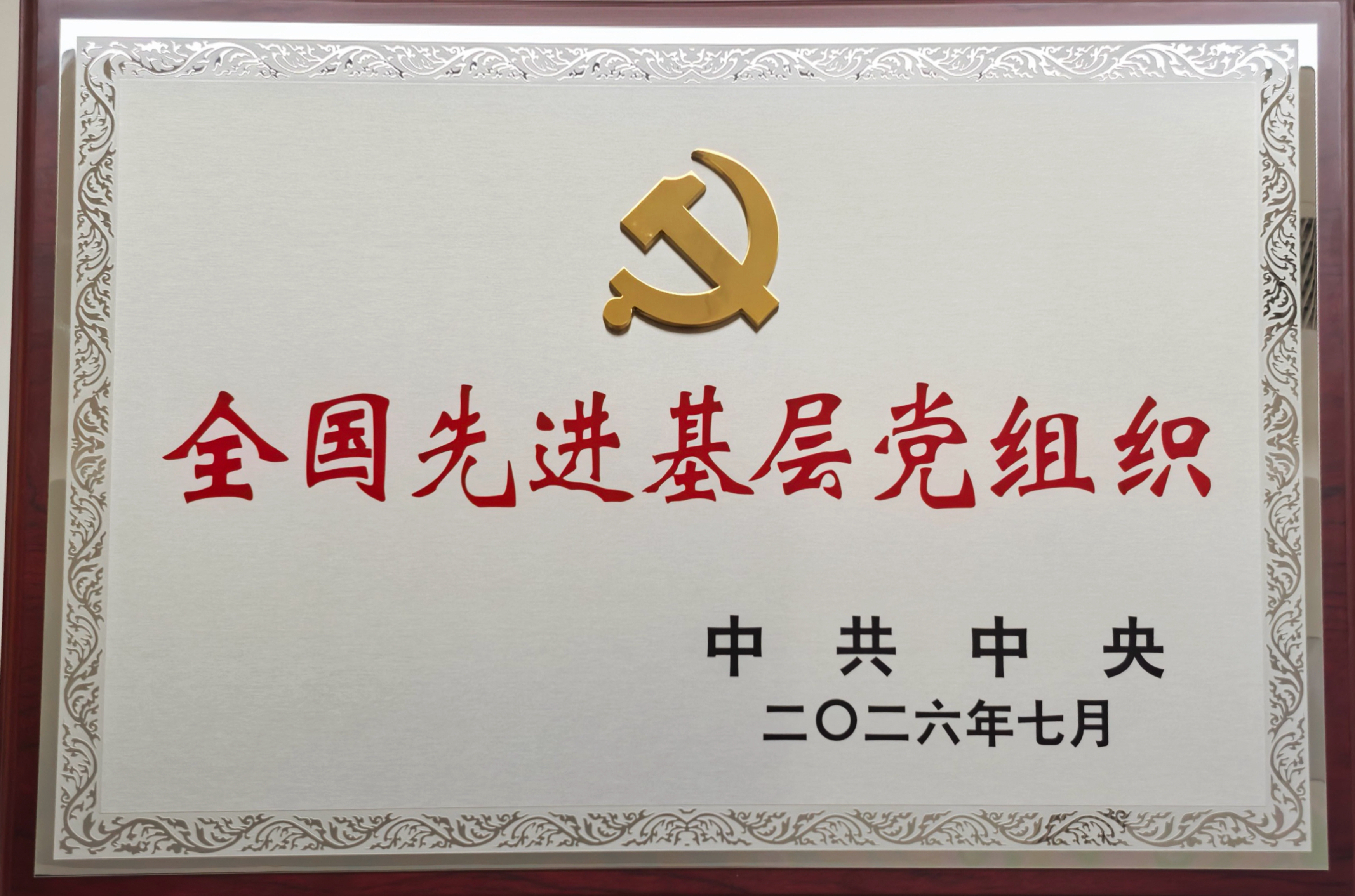 1_20260702104417A009 首页- 必发集团有限公司官方网站